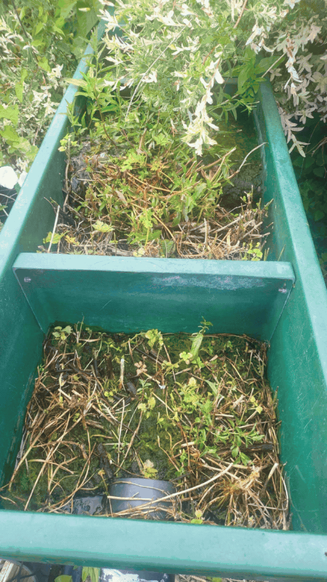 Pond filter cleaning and restoration